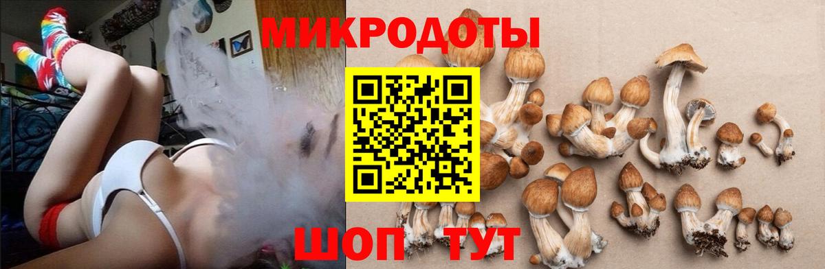 Сертолово  Галлюциногенные грибы GOLDEN TEACHER  Вход с VPN 